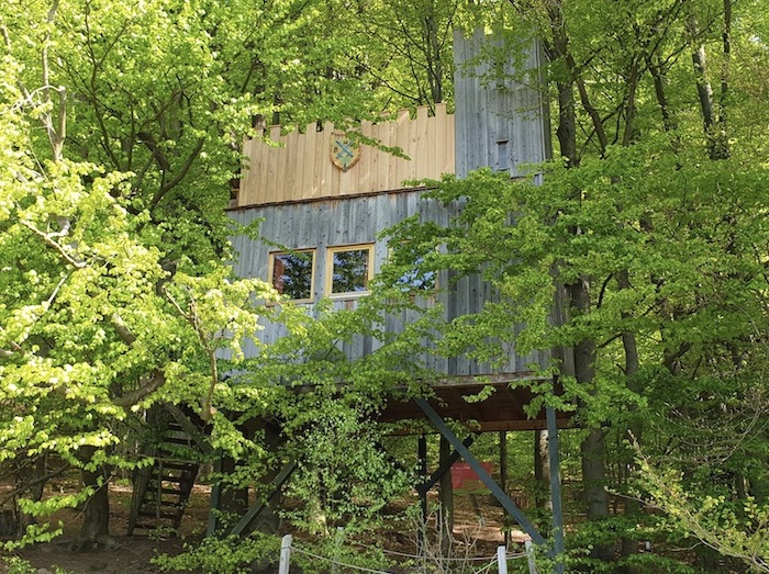 Baumhaus (Baumhaus Burg) Camping / Glamping in Bielefeld im Baumhaushotel Solling