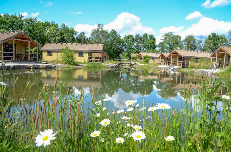 Germanenland Camping / Glamping in Bielefeld beim Glamping am Alfsee