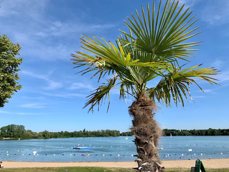 Strand des Glamping am Wisseler See Badestrand Bielefeld und Umgebung