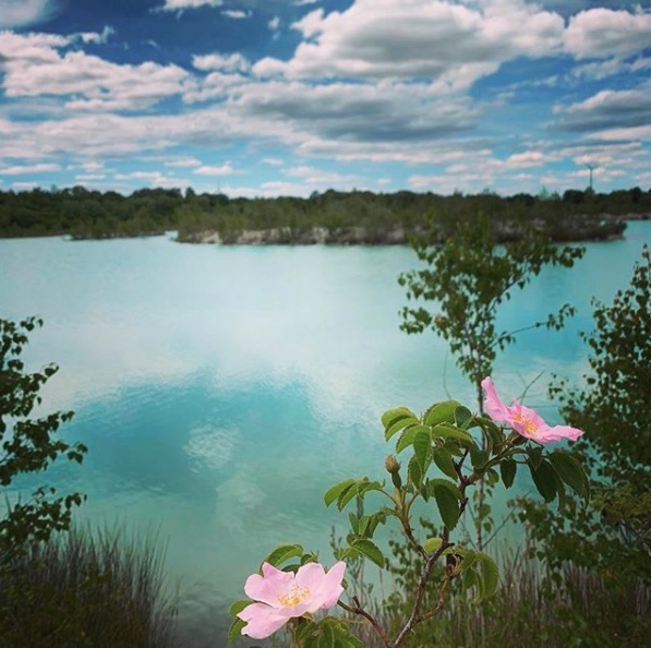 Lagune hannover blaue Die blaue