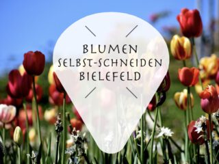 Frische Blumen selbst schneiden in Bielefeld
