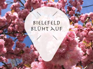 Bielefeld Blumen