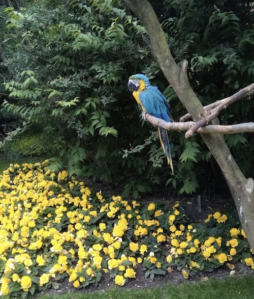 Vogelpark Detmold
