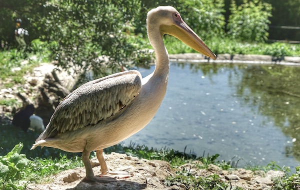 Vogelpark Detmold