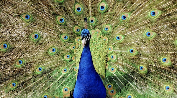 Vogelpark Detmold