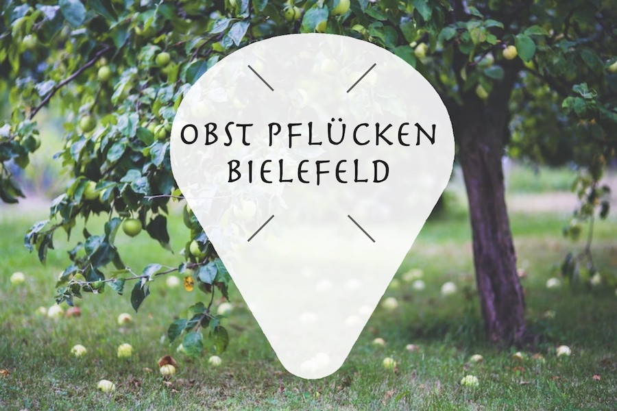 obst_pfluecken_bielefeld