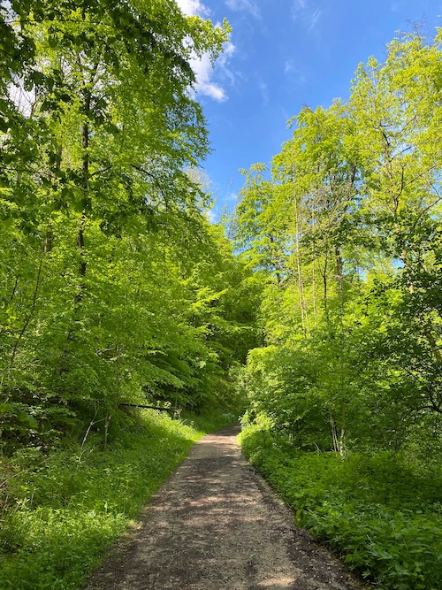 Wandern in Bielefeld