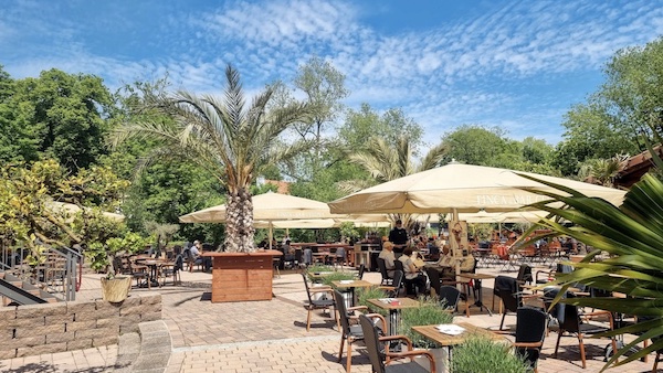 Palmen sorgen für Urlaubs-Feeling in der Finca Barcelona
