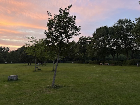 12 x Grillplätze in Bielefeld Grillen in Bielefelds Parks