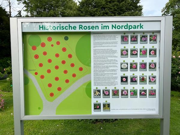 Finde alle Infos zu den Rosen vor Ort Rosenpark Bielefeld