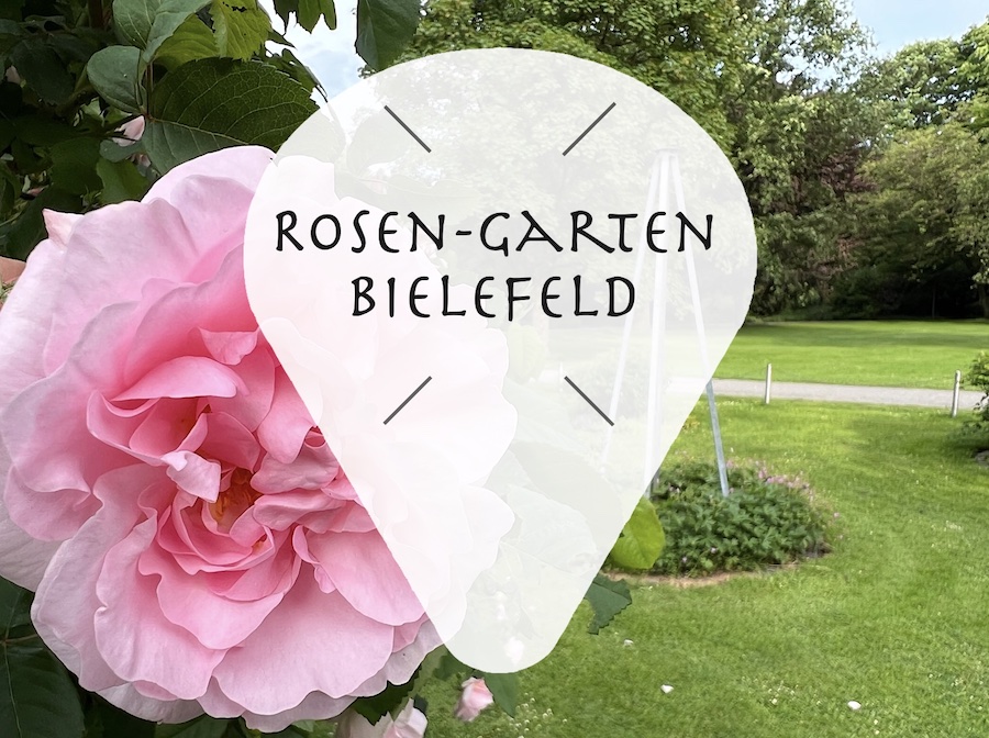 Rosengarten / Rosenpark in Bielefeld