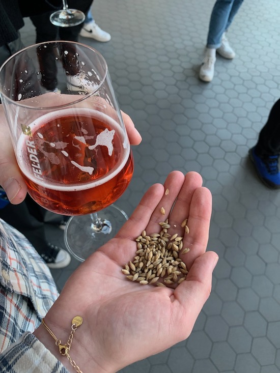 Lerne alles über die Kunst des Bierbrauens - Bielefelder Braumanufaktur Brackwede