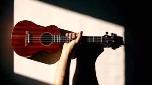 Musik Schule Bielefeld Ukulele lernen