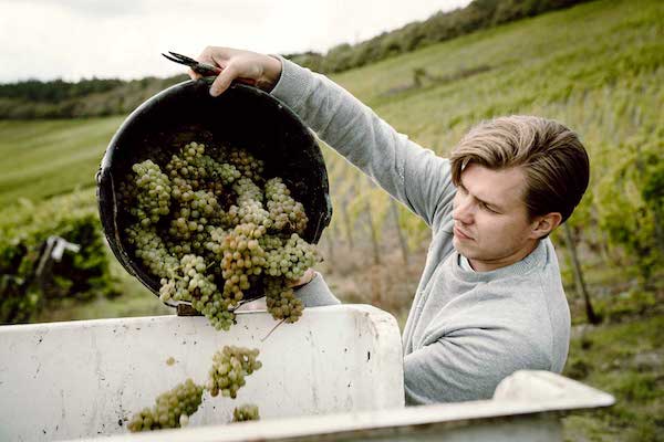 Wein Tasting in Bielefeld (OWL's Größtes Weintasting)